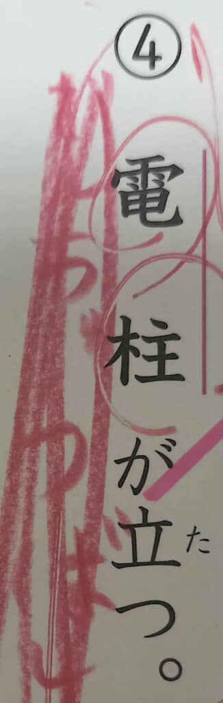 正解はもちろん「でんちゅう」だけど……