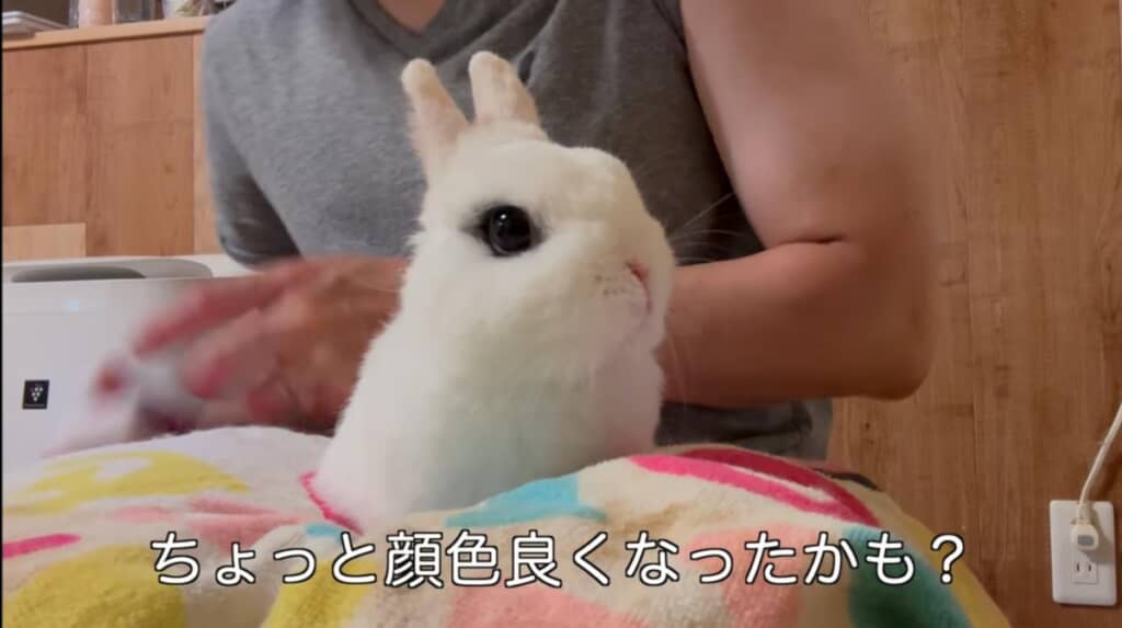 少し顔色が良くなったかな？