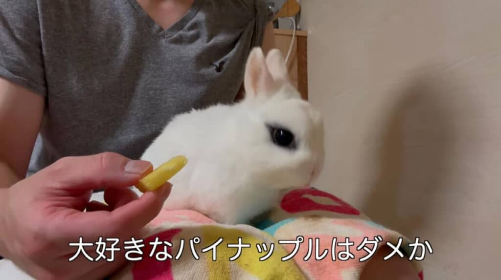 しかし、大好きなパイナップルは食べてくれません