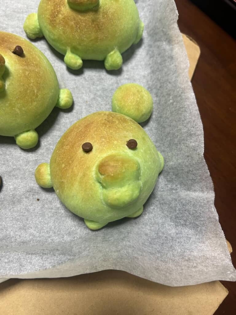 たんこぶができてしまったくちぱっちも