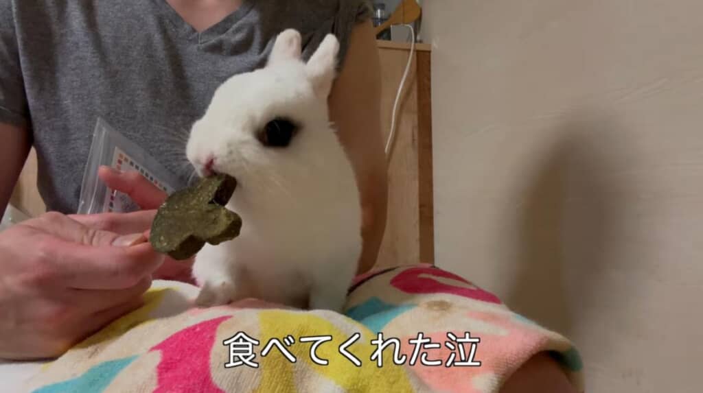 お気に入りのおやつは食べてくれた！