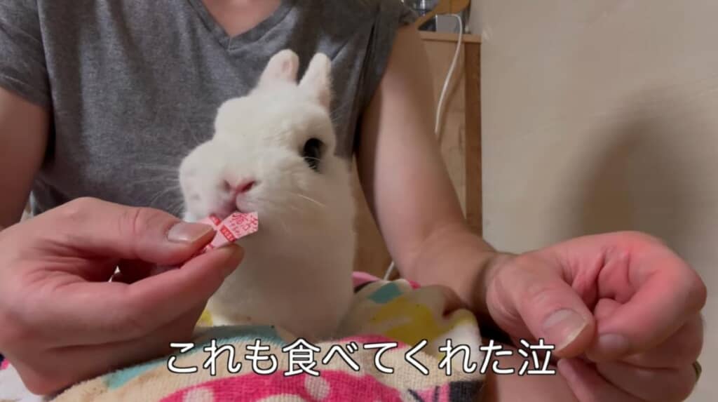 ゼリーは完食です