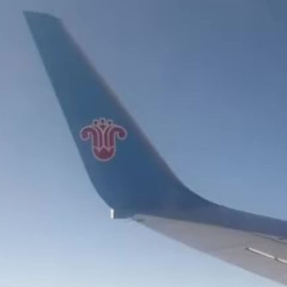 CAに突然起こされ「飛行機の外を見ろ！」→渋々見たら……　「夢ですか？」予期せぬ“まさかの光景”が294万表示 | 乗り物 ねとらぼ