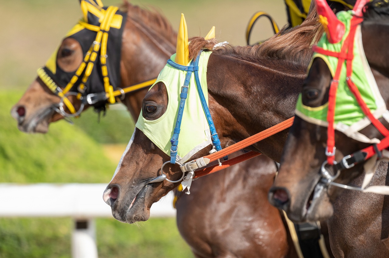 ふるさと納税】「競馬ファン必見」JRAの“調教用ゼッケンを使ったバッグ