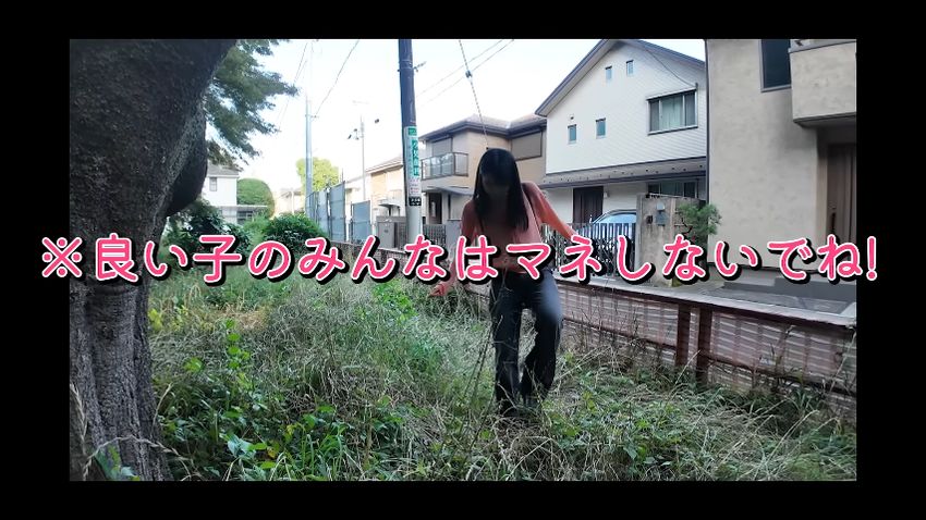 ヘビを捕まえようとする投稿者