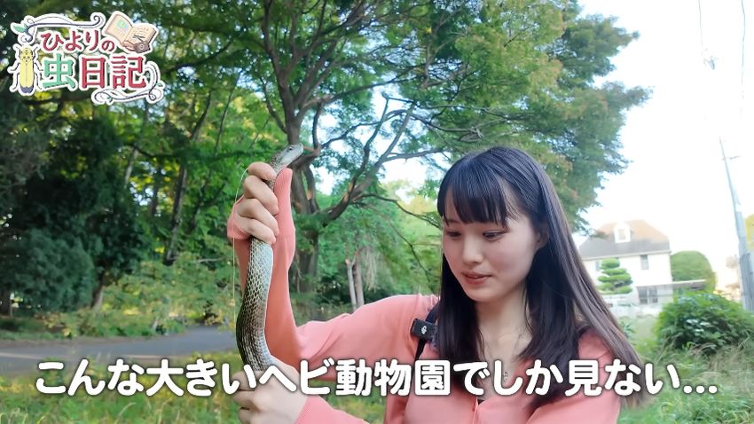 ヘビの頭をつかんで観察する投稿者