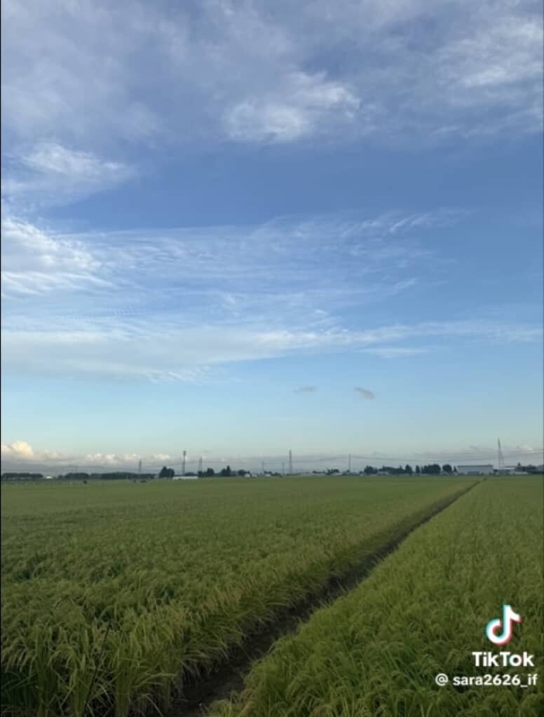 彼女の撮った写真に落書きしてみた