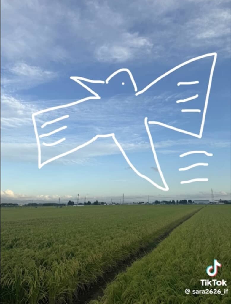 彼女の撮った写真に落書きしてみた