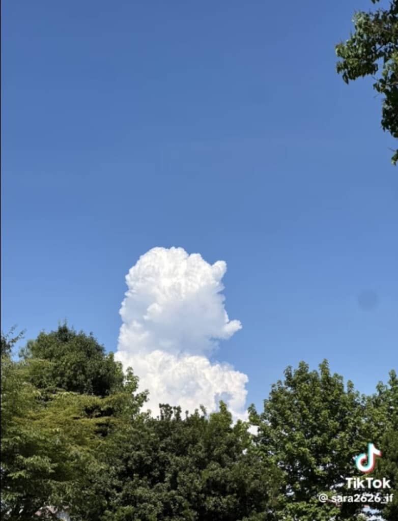 彼女の撮った写真に落書きしてみた