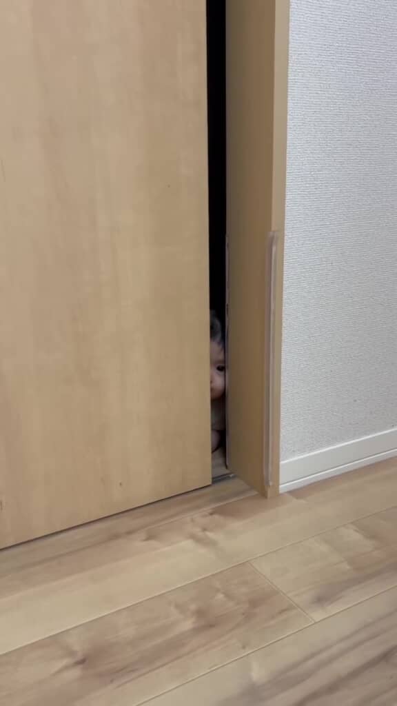 小さなお目目が見える