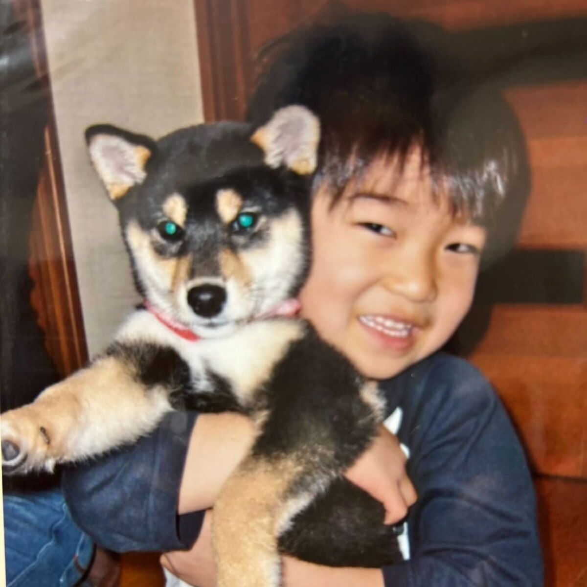 赤ちゃん柴犬を抱っこする5歳少年→15年後……　同じポーズで撮影した“現在の姿”に「くそぉ」「涙出てくる」 | ライフスタイル ねとらぼ