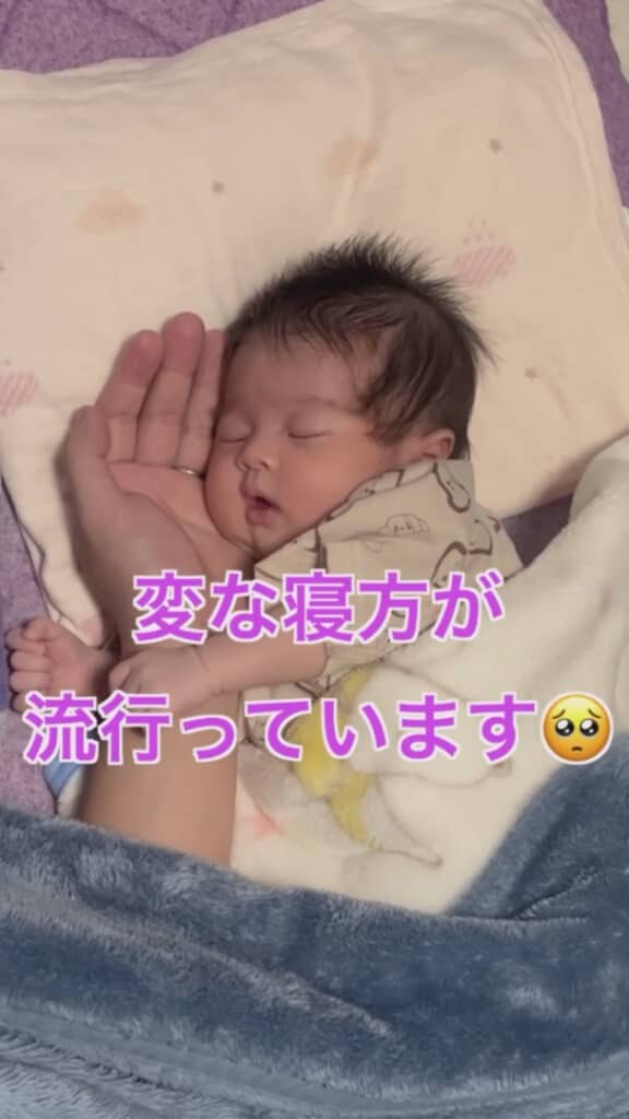 スヤスヤと眠るごんちゃん