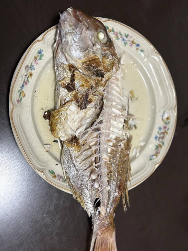 スーパーで買ってきた鯛を家で食べていたら……