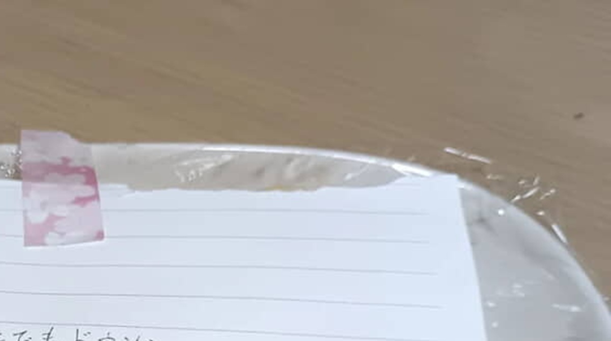 ぎっくり腰で寝込んだ母、痛みで目覚めふとテーブルを見ると高3息子が……「えーなんてことー！」　思わぬ光景に「泣けるんですけど」（1/3） | 教育・子育て ねとらぼ