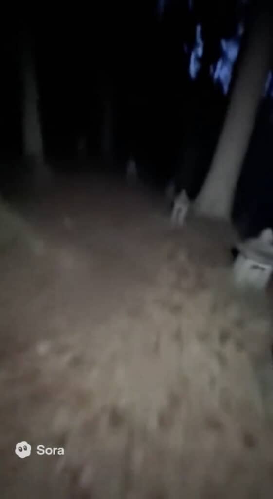 あわてて逃げ出す撮影者