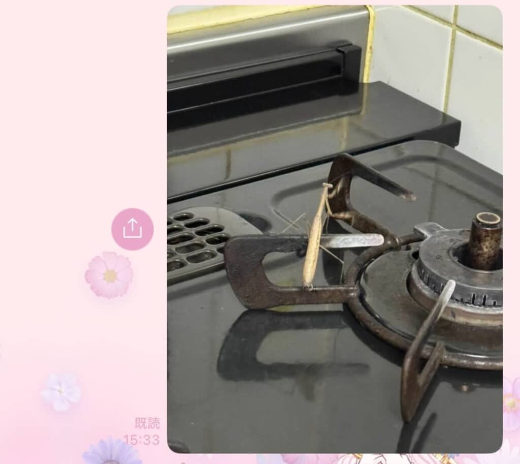 キッチンにカマキリが出た結果