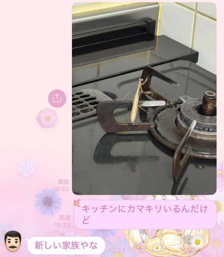 キッチンにカマキリが出た結果