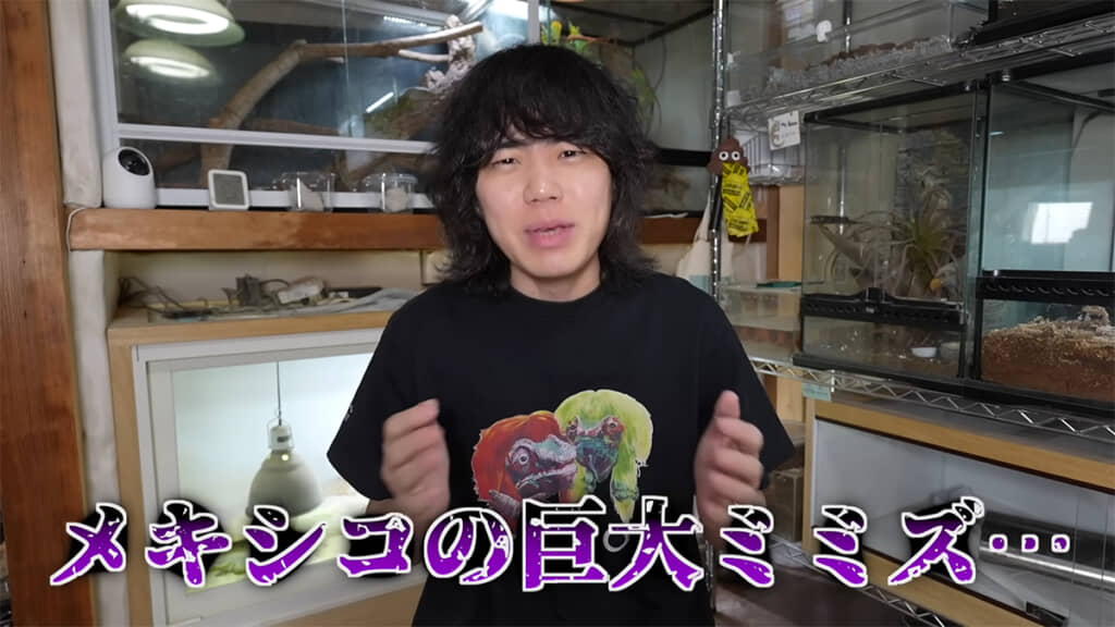 今回お迎えしたのは……メキシコの巨大ミミズ……！？