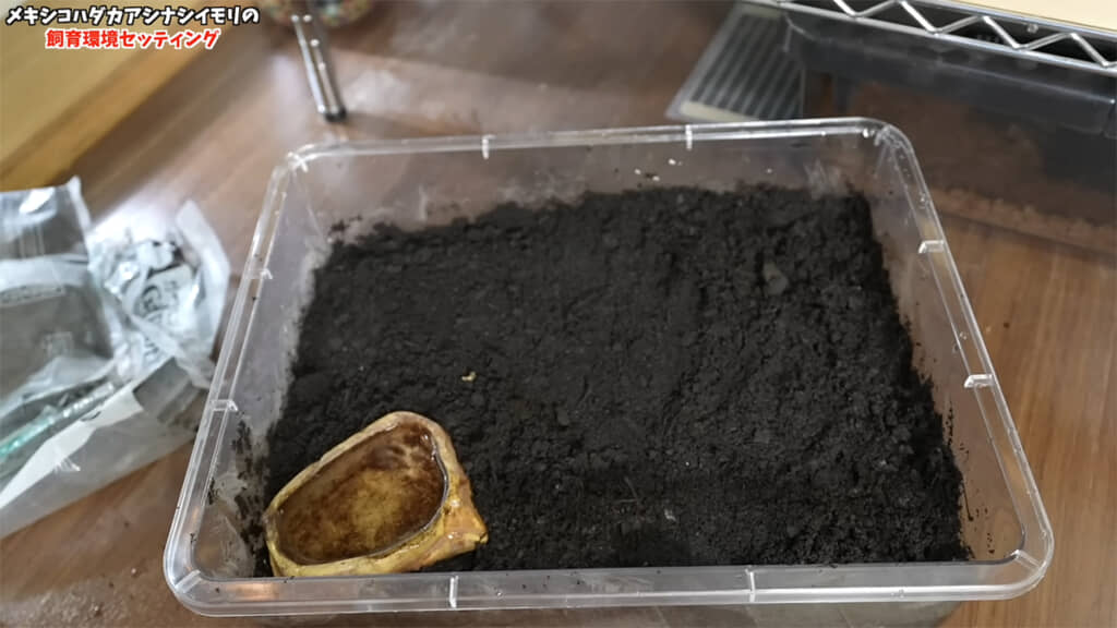 新たなおうちが完成しました