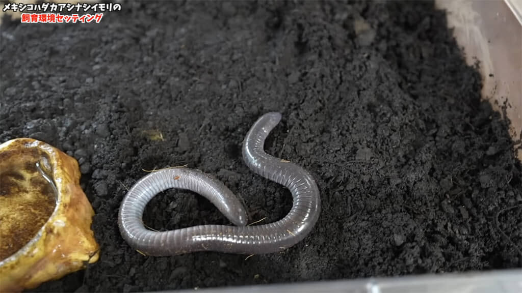 お引越し完了です