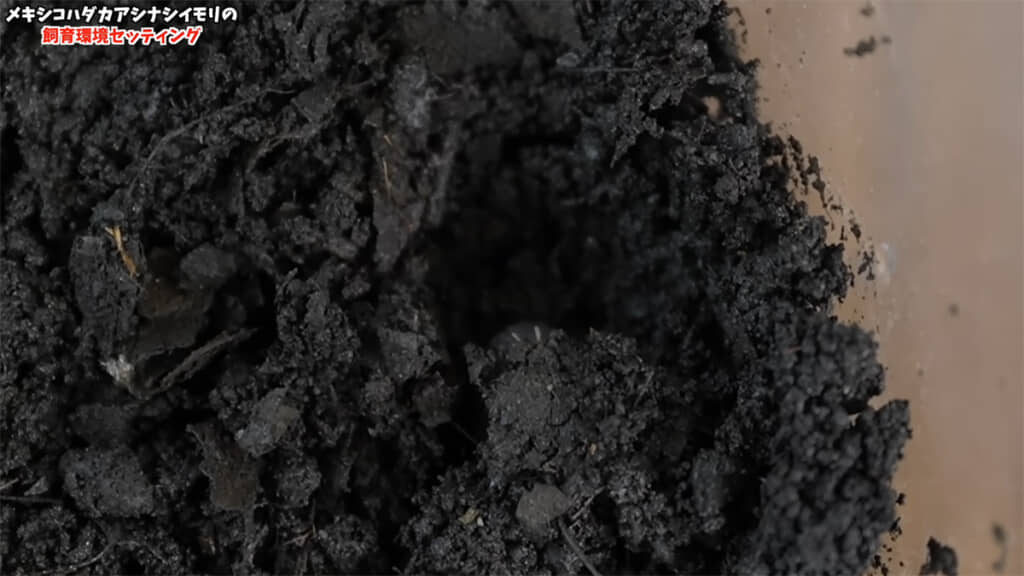 完全に潜りました