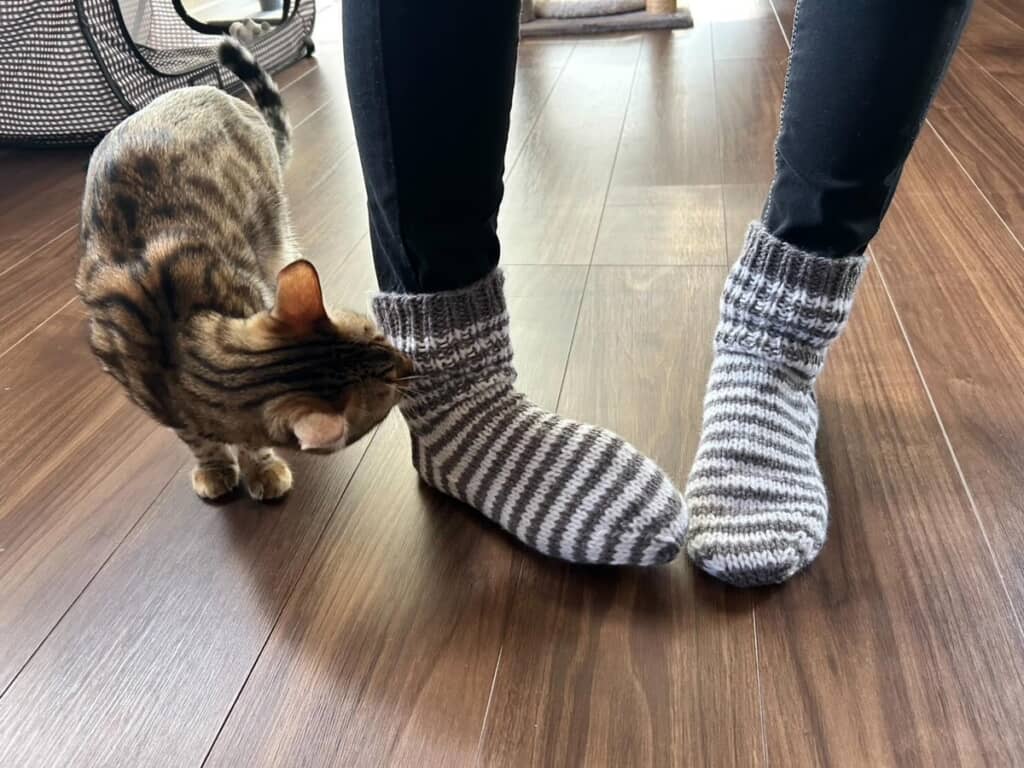 靴下を履いてみたところ