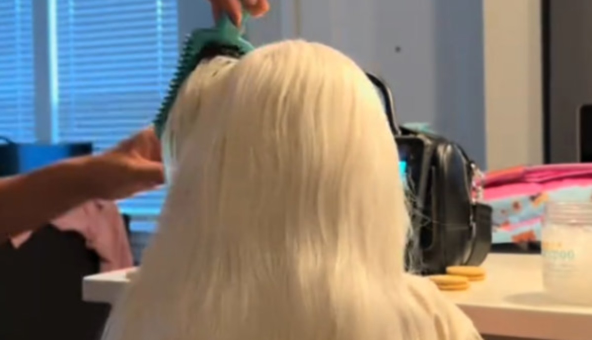 4歳娘のホワイトヘア→ママがセットしたら……「本物のエルサ！」　“完成した髪形”が3600万再生【海外】（1/2） | 美容 ねとらぼ