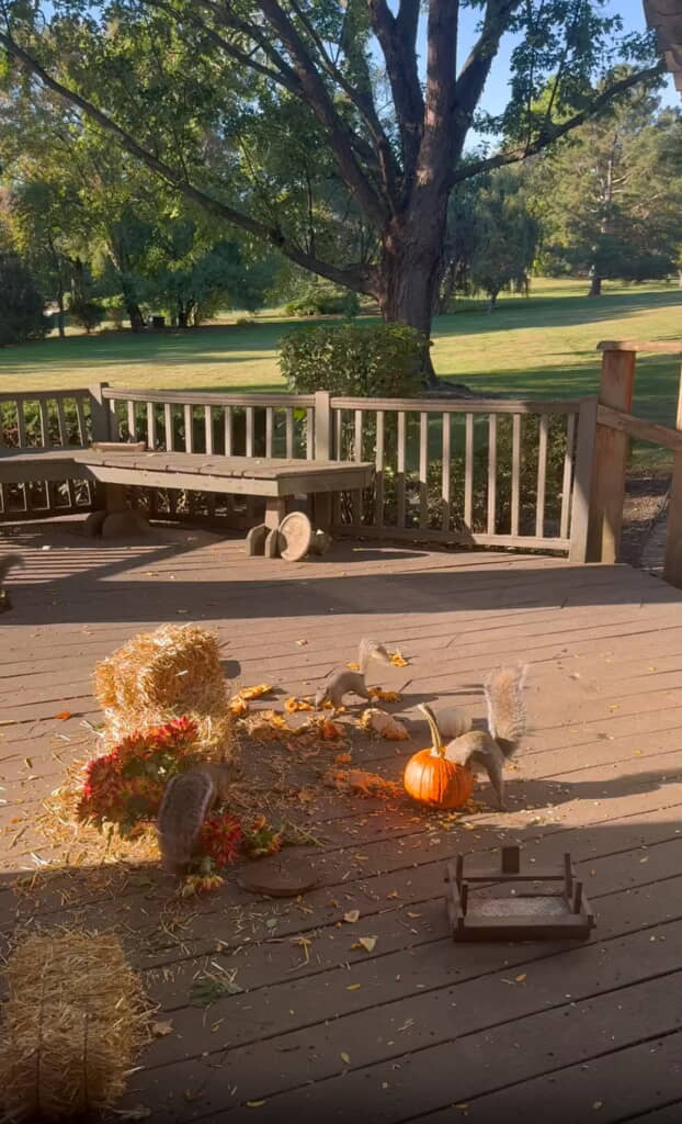 庭で目撃したのは……