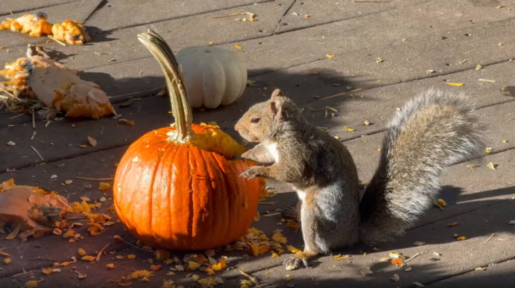 だいぶお楽しみになられましたね