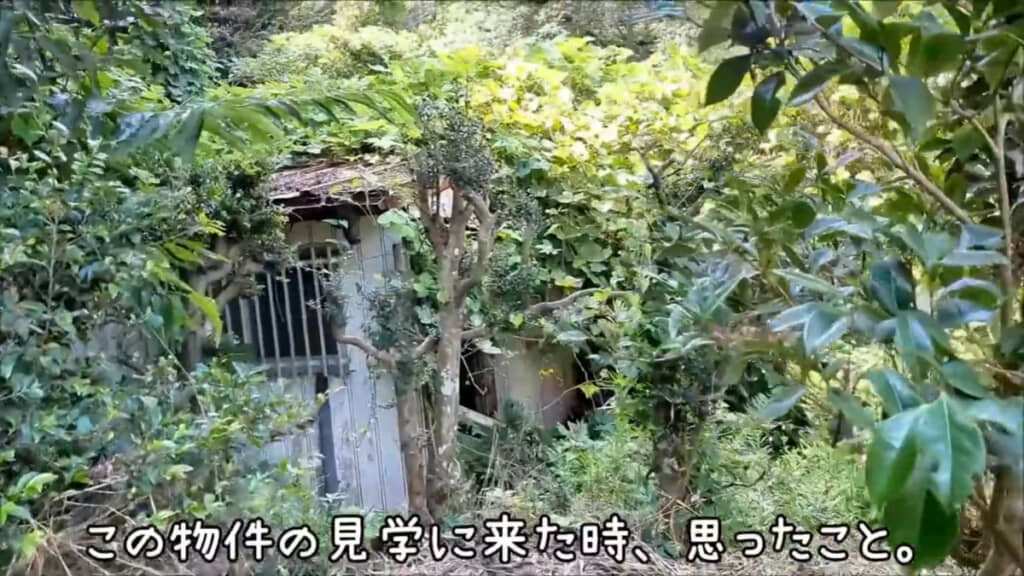 ほとんど森ののみ込まれているような状態の廃墟がすぐ隣にあります