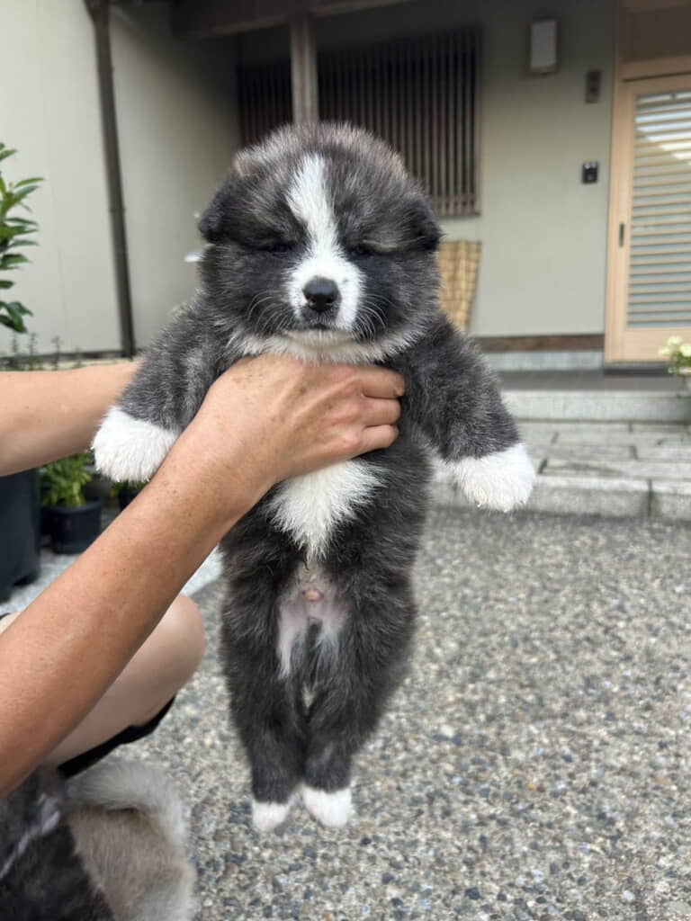 心を浄化してくれそうな表情