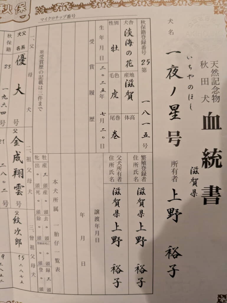 「一夜ノ星号」