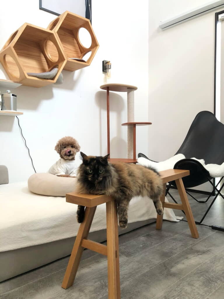 ニコニコ見守るあん子ちゃん