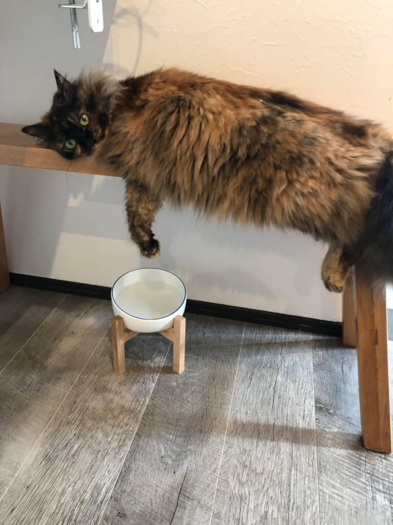 気持ちよさそう