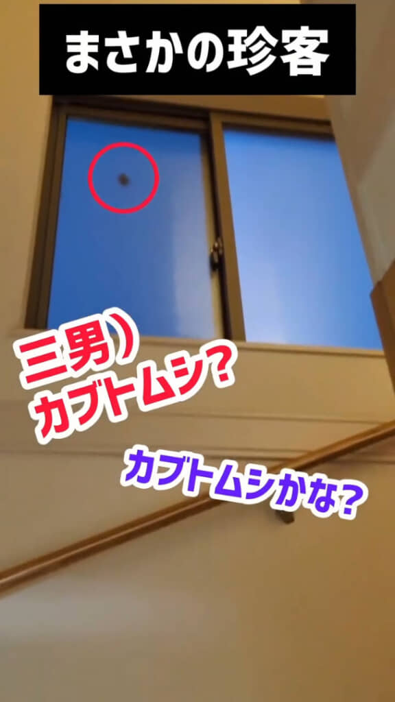 家の窓に見慣れないシルエットが