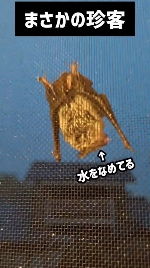 舌を出す仕草が……！