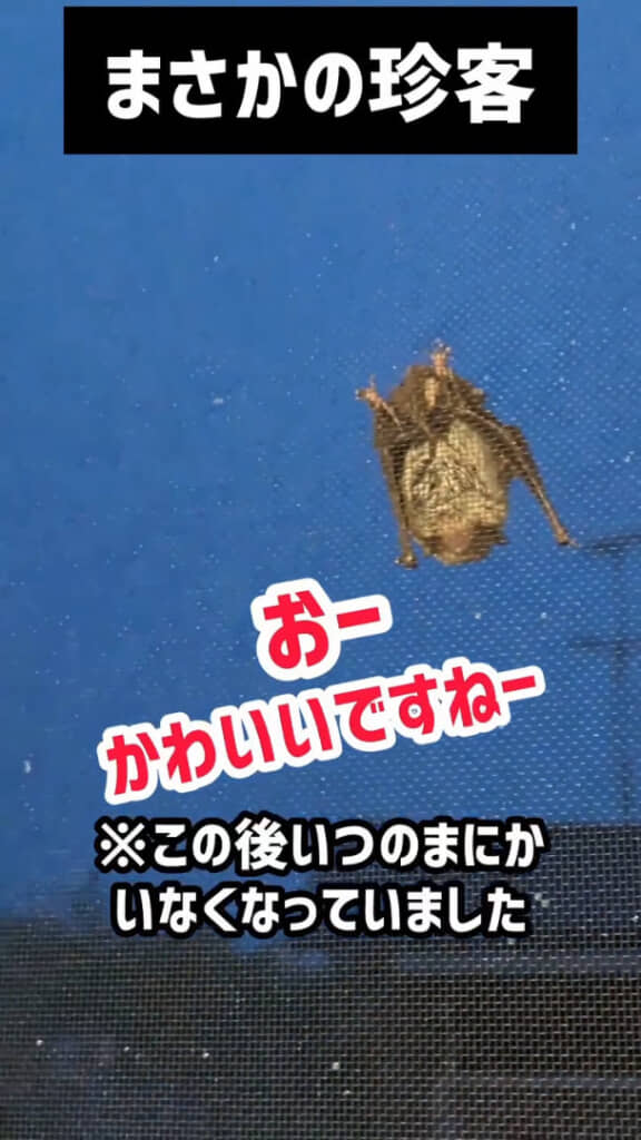 珍しい出会いでした