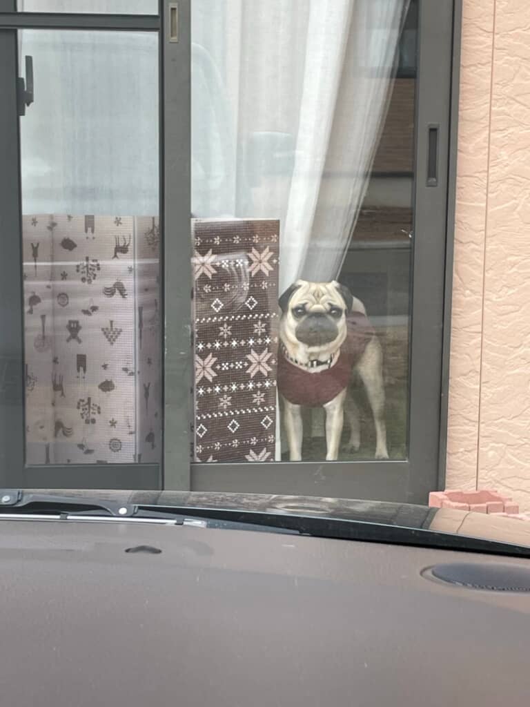 お見送りの時は悲しそうな表情を見せていたまんさくくん