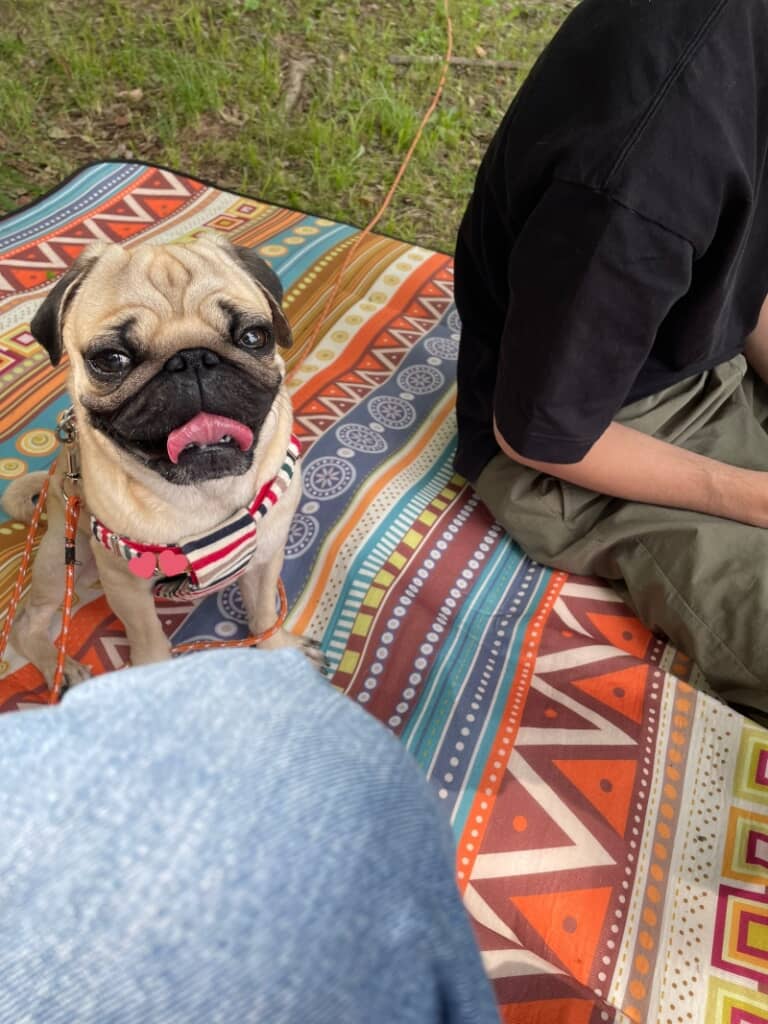 家族でピクニック