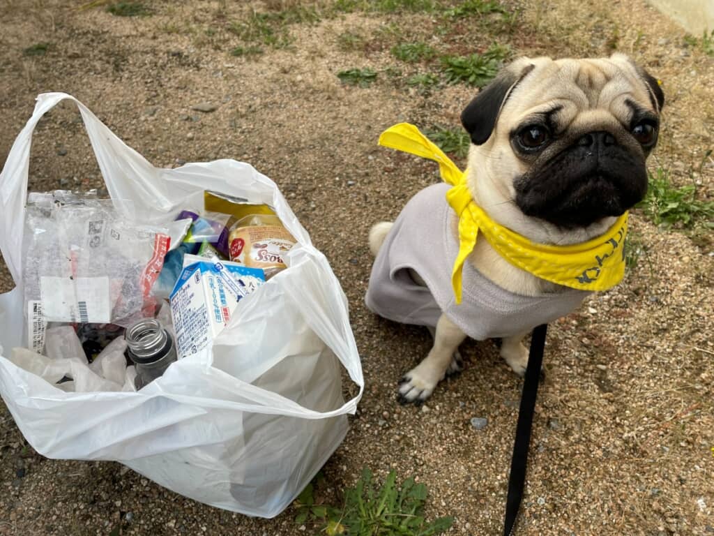 ゴミ拾いのお手伝いを頑張りました