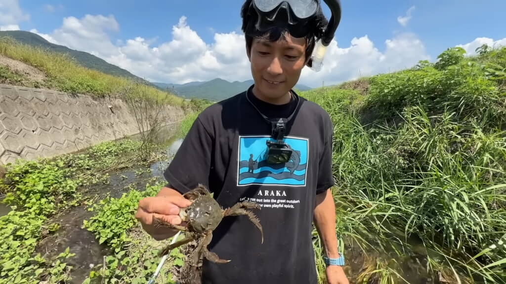 川でこの大きさのカニが！