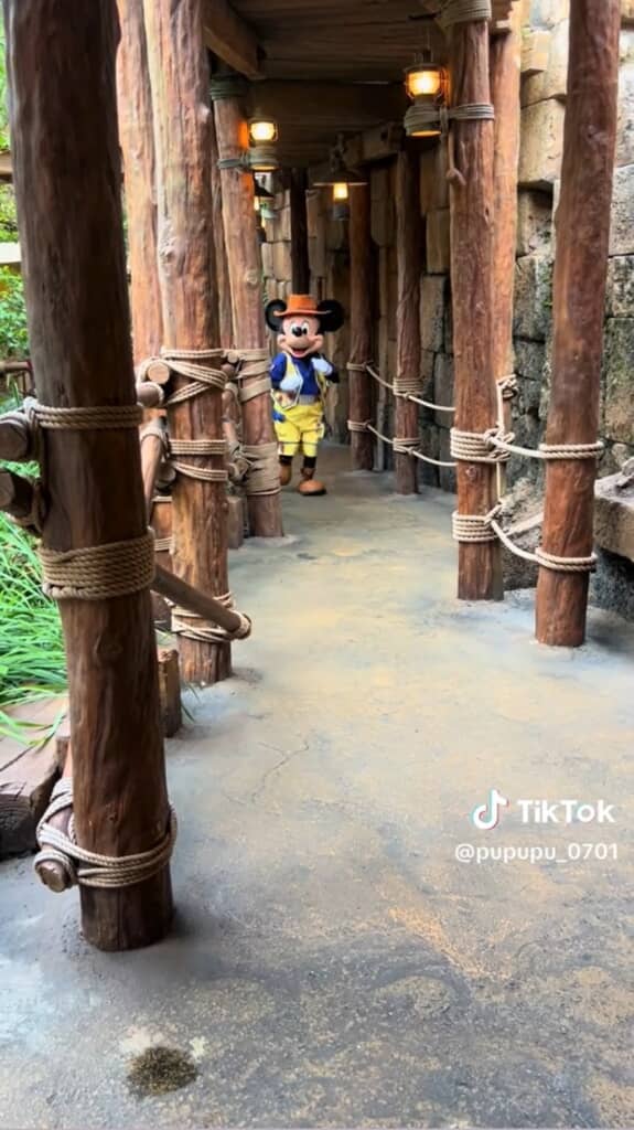 遠くからやってくるミッキー