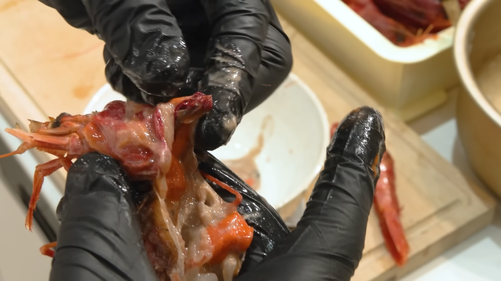 赤い袋状のものが胃袋なのだそうです