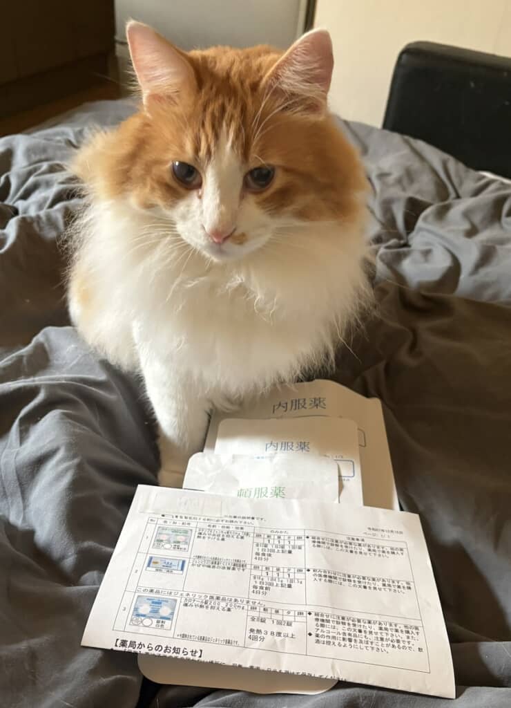 風邪を引いた飼い主さんを心配してくれる隊長くん