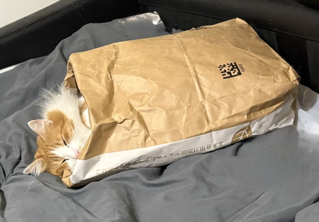 Amazonの紙袋の中でおやすみ中の隊長くん