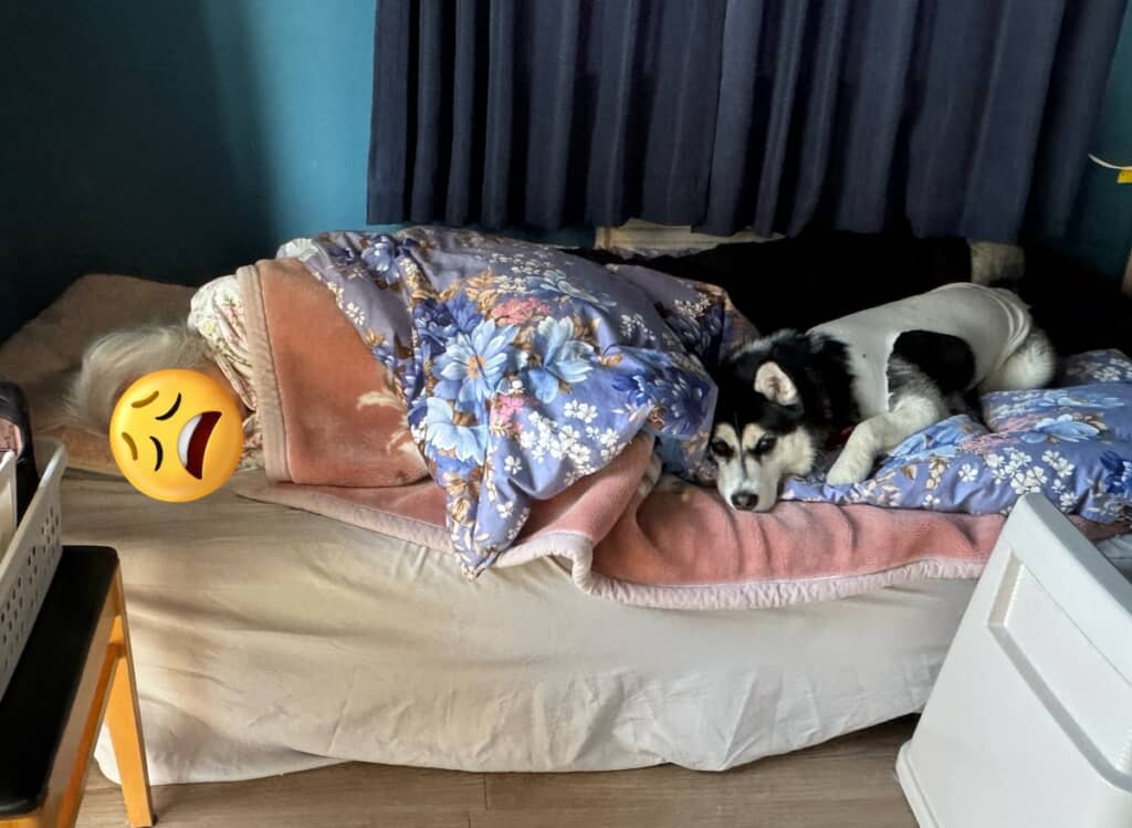 この日はばぁばと一緒に添い寝