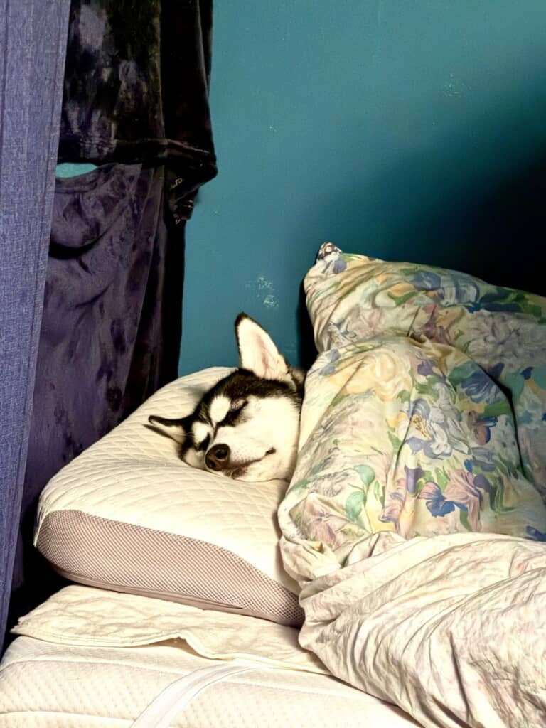 完全に人間の寝方です