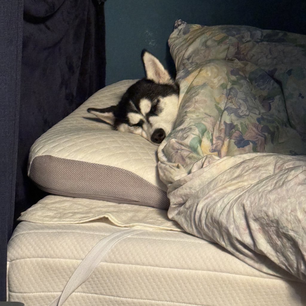 見事にベッドを使いこなしています