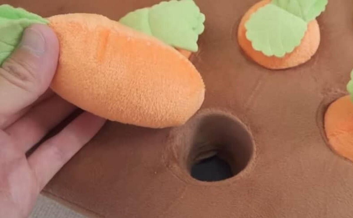 シマリスに豪華なおもちゃを与えたら……　絶対電車で見ちゃダメな光景に「言葉にならん」「涙出た」（1/3） | 小動物 ねとらぼ