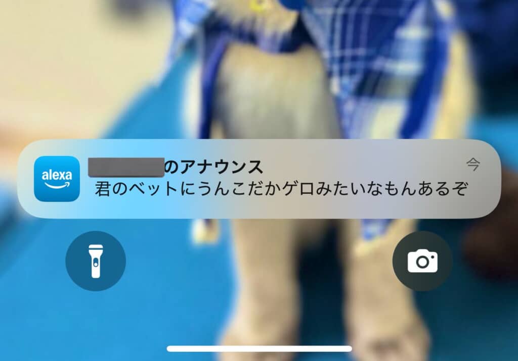 「君のベットにうんこだかゲロみたいなもんあるぞ」